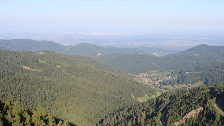 Dieses Bild zeigt eine Webcam-Aufnahme vom Achertal, aufgenommen am Montag, den 18.08.2025 um 08:10 Uhr. Die Temperatur betrug 15.8°C.