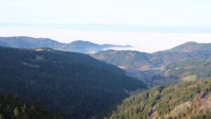 Dieses Bild zeigt eine Webcam-Aufnahme vom Achertal, aufgenommen am Sonntag, den 21.12.2025 um 10:20 Uhr. Die Temperatur betrug 6.1°C.