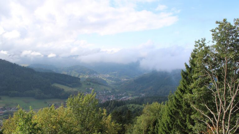 Dieses Bild zeigt eine Webcam-Aufnahme vom Achertal, aufgenommen am Freitag, den 02.10.2026 um 11:50 Uhr. Die Temperatur betrug 16.7°C.