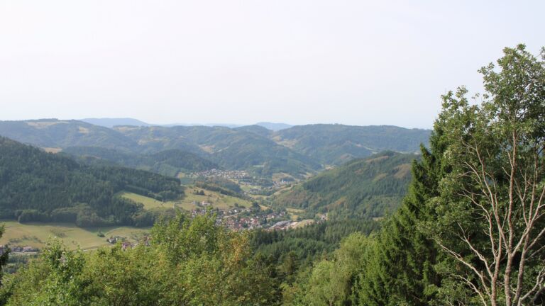 Dieses Bild zeigt eine Webcam-Aufnahme vom Achertal, aufgenommen am Donnerstag, den 27.08.2026 um 11:50 Uhr. Die Temperatur betrug 28.9°C.
