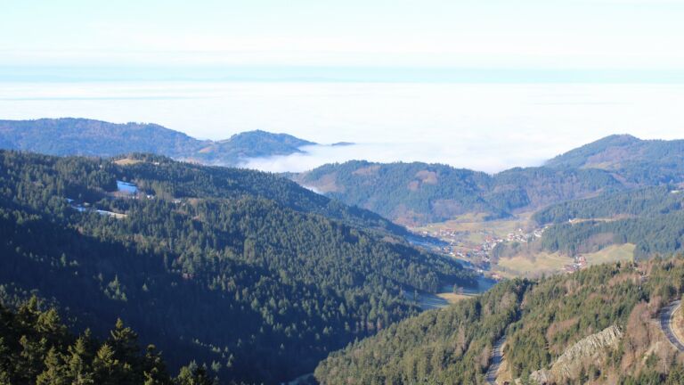 Dieses Bild zeigt eine Webcam-Aufnahme vom Achertal, aufgenommen am Donnerstag, den 05.02.2026 um 10:50 Uhr. Die Temperatur betrug 7.6°C.