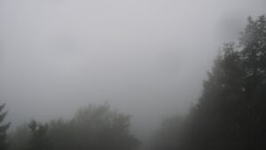 Dieses Bild zeigt eine Webcam-Aufnahme vom Achertal, aufgenommen am Mittwoch, den 01.07.2026 um 06:30 Uhr. Die Temperatur betrug 16.8°C.