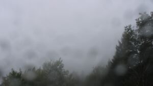 Dieses Bild zeigt eine Webcam-Aufnahme vom Achertal, aufgenommen am Donnerstag, den 08.10.2026 um 12:30 Uhr. Die Temperatur betrug 10.3°C.