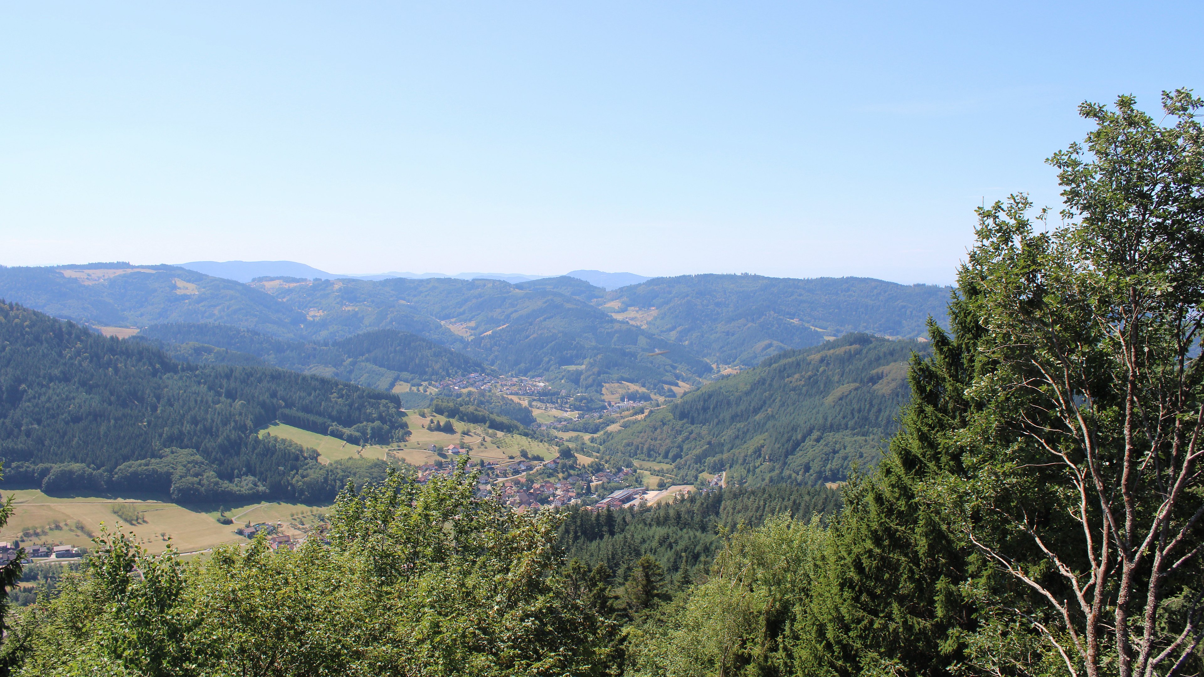 Zum Fotoarchiv vom Samstag, 8. August 2026