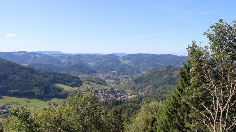 Dieses Bild zeigt eine Webcam-Aufnahme vom Achertal, aufgenommen am Samstag, den 12.09.2026 um 11:30 Uhr. Die Temperatur betrug 21.8°C.