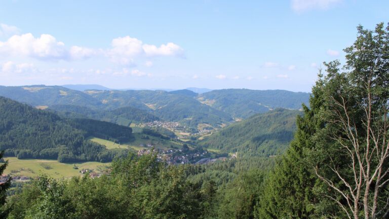 Dieses Bild zeigt eine Webcam-Aufnahme vom Achertal, aufgenommen am Donnerstag, den 23.07.2026 um 10:30 Uhr. Die Temperatur betrug 17.5°C.