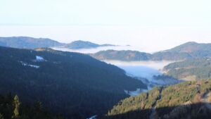 Dieses Bild zeigt eine Webcam-Aufnahme vom Achertal, aufgenommen am Mittwoch, den 21.01.2026 um 09:50 Uhr. Die Temperatur betrug 7.8°C.