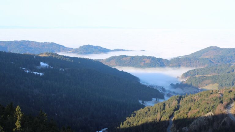 Dieses Bild zeigt eine Webcam-Aufnahme vom Achertal, aufgenommen am Mittwoch, den 21.01.2026 um 09:50 Uhr. Die Temperatur betrug 7.8°C.