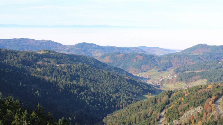 Dieses Bild zeigt eine Webcam-Aufnahme vom Achertal, aufgenommen am Donnerstag, den 06.11.2025 um 10:10 Uhr. Die Temperatur betrug 11.1°C.