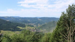 Dieses Bild zeigt eine Webcam-Aufnahme vom Achertal, aufgenommen am Freitag, den 17.07.2026 um 11:10 Uhr. Die Temperatur betrug 22°C.