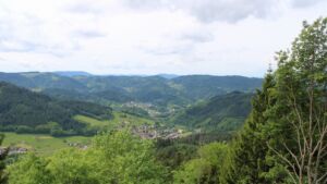Dieses Bild zeigt eine Webcam-Aufnahme vom Achertal, aufgenommen am Dienstag, den 19.05.2026 um 11:50 Uhr. Die Temperatur betrug 14.8°C.