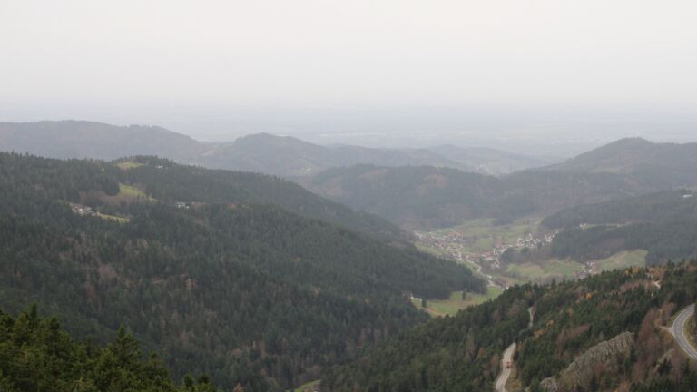 Dieses Bild zeigt eine Webcam-Aufnahme vom Achertal, aufgenommen am Freitag, den 14.11.2025 um 10:50 Uhr. Die Temperatur betrug 16.1°C.