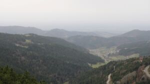 Dieses Bild zeigt eine Webcam-Aufnahme vom Achertal, aufgenommen am Freitag, den 14.11.2025 um 12:40 Uhr. Die Temperatur betrug 16.6°C.