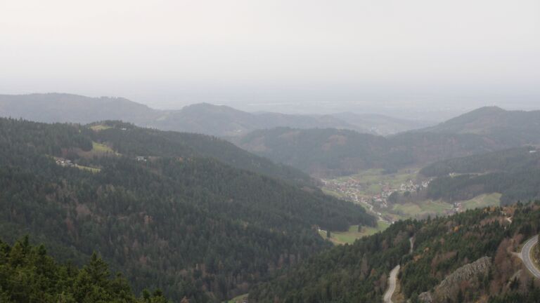 Dieses Bild zeigt eine Webcam-Aufnahme vom Achertal, aufgenommen am Freitag, den 14.11.2025 um 12:40 Uhr. Die Temperatur betrug 16.6°C.