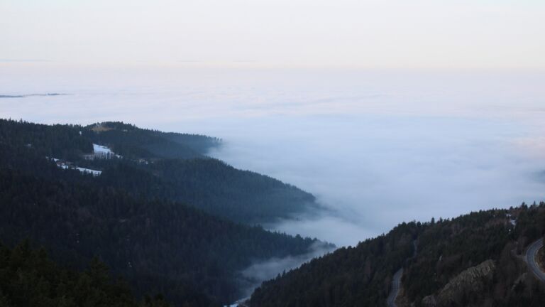 Dieses Bild zeigt eine Webcam-Aufnahme vom Achertal, aufgenommen am Sonntag, den 18.01.2026 um 08:50 Uhr. Die Temperatur betrug 7°C.