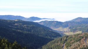 Dieses Bild zeigt eine Webcam-Aufnahme vom Achertal, aufgenommen am Mittwoch, den 03.12.2025 um 11:50 Uhr. Die Temperatur betrug 5.5°C.