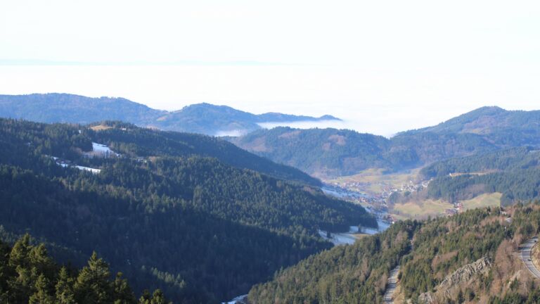 Dieses Bild zeigt eine Webcam-Aufnahme vom Achertal, aufgenommen am Mittwoch, den 21.01.2026 um 12:10 Uhr. Die Temperatur betrug 10°C.