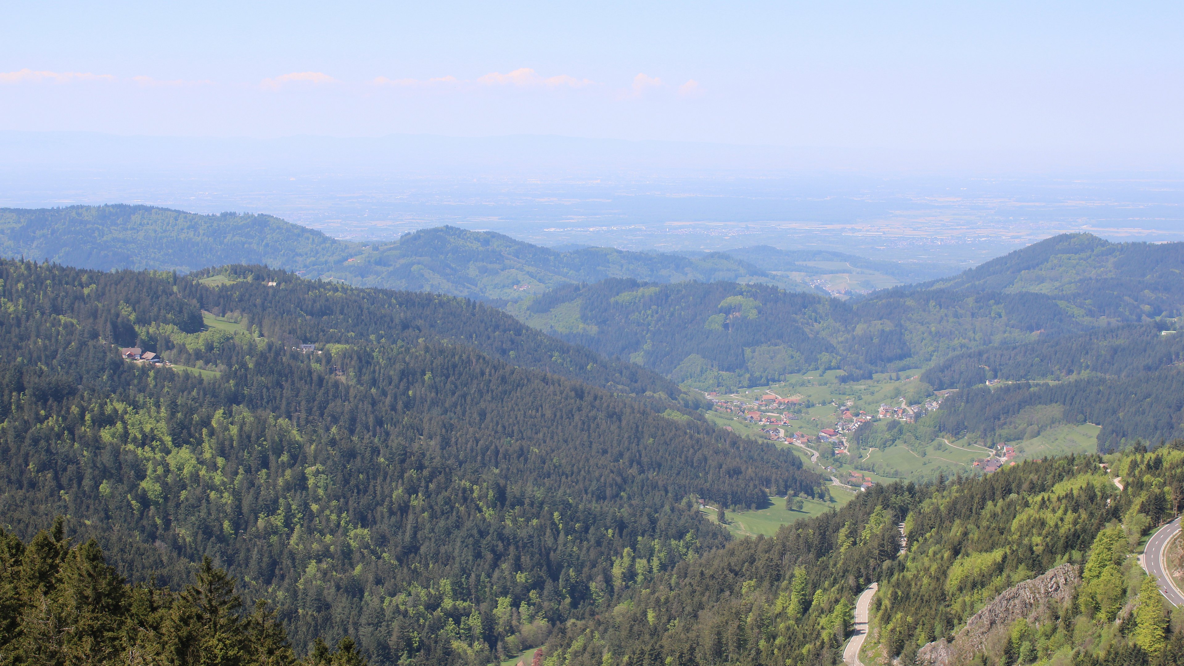 Zum Fotoarchiv vom Donnerstag, 1. Mai 2025