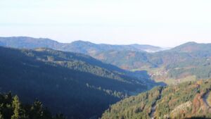 Dieses Bild zeigt eine Webcam-Aufnahme vom Achertal, aufgenommen am Montag, den 10.11.2025 um 09:30 Uhr. Die Temperatur betrug 4.6°C.