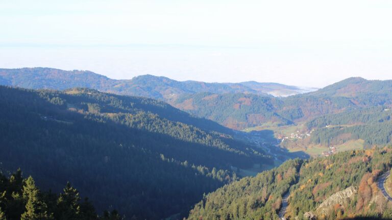 Dieses Bild zeigt eine Webcam-Aufnahme vom Achertal, aufgenommen am Montag, den 10.11.2025 um 09:30 Uhr. Die Temperatur betrug 4.6°C.