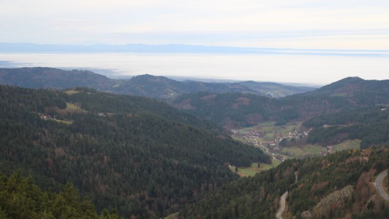 Dieses Bild zeigt eine Webcam-Aufnahme vom Achertal, aufgenommen am Sonntag, den 16.11.2025 um 08:50 Uhr. Die Temperatur betrug 8.7°C.