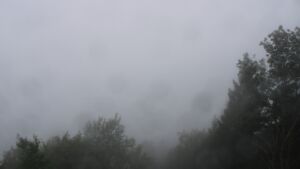Dieses Bild zeigt eine Webcam-Aufnahme vom Achertal, aufgenommen am Mittwoch, den 16.09.2026 um 10:50 Uhr. Die Temperatur betrug 14.1°C.