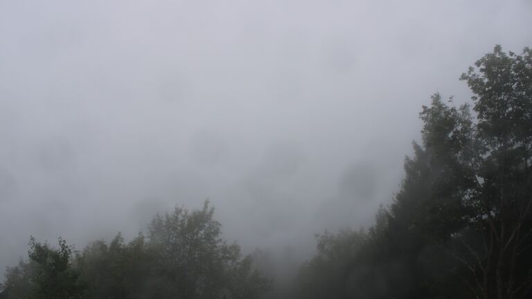 Dieses Bild zeigt eine Webcam-Aufnahme vom Achertal, aufgenommen am Mittwoch, den 16.09.2026 um 10:50 Uhr. Die Temperatur betrug 14.1°C.