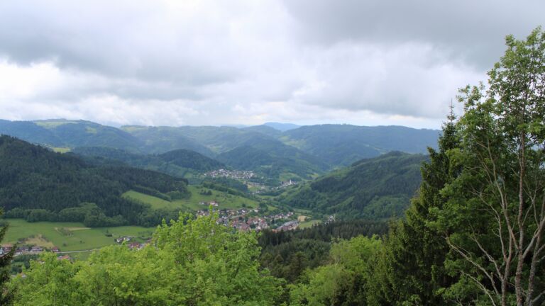 Dieses Bild zeigt eine Webcam-Aufnahme vom Achertal, aufgenommen am Freitag, den 15.05.2026 um 12:50 Uhr. Die Temperatur betrug 8.8°C.