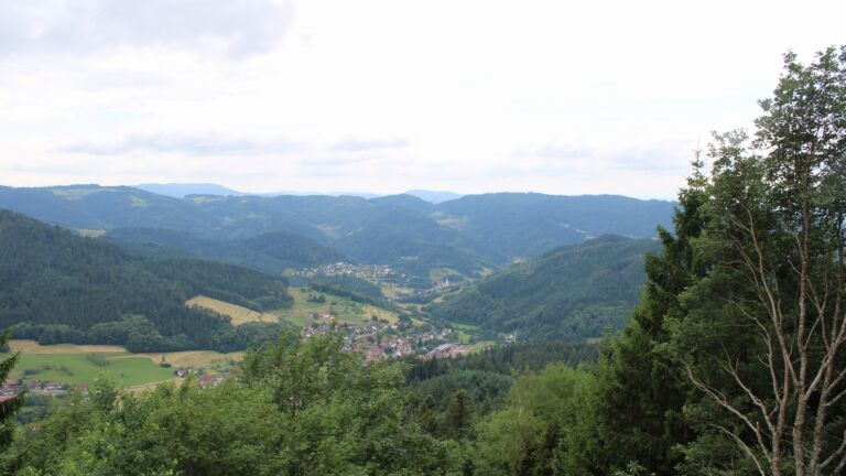 Dieses Bild zeigt eine Webcam-Aufnahme vom Achertal, aufgenommen am Montag, den 29.06.2026 um 13:30 Uhr. Die Temperatur betrug 23.1°C.