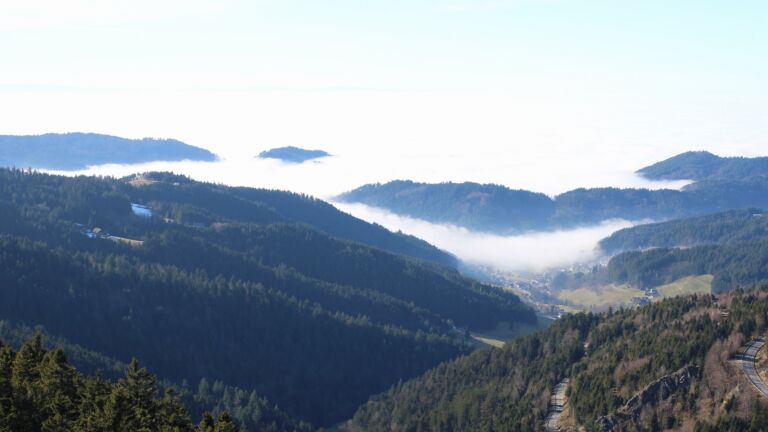 Dieses Bild zeigt eine Webcam-Aufnahme vom Achertal, aufgenommen am Sonntag, den 08.02.2026 um 14:50 Uhr. Die Temperatur betrug 4.5°C.