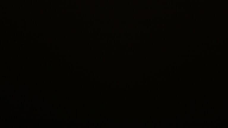 Dieses Bild zeigt eine Webcam-Aufnahme vom Achertal, aufgenommen am Donnerstag, den 21.08.2025 um 01:30 Uhr. Die Temperatur betrug 13.3°C.