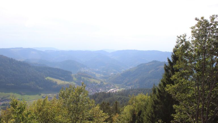 Dieses Bild zeigt eine Webcam-Aufnahme vom Achertal, aufgenommen am Mittwoch, den 07.10.2026 um 15:30 Uhr. Die Temperatur betrug 23.5°C.