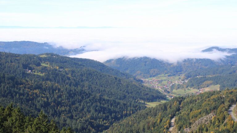 Dieses Bild zeigt eine Webcam-Aufnahme vom Achertal, aufgenommen am Mittwoch, den 08.10.2025 um 12:30 Uhr. Die Temperatur betrug 18.8°C.