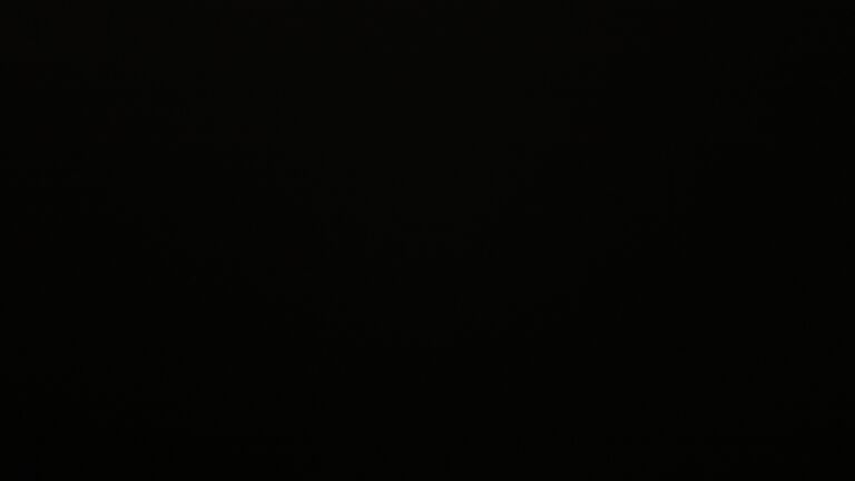 Dieses Bild zeigt eine Webcam-Aufnahme vom Achertal, aufgenommen am Sonntag, den 09.11.2025 um 22:00 Uhr. Die Temperatur betrug 4°C.