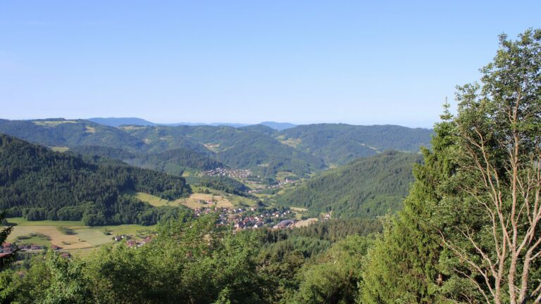 Dieses Bild zeigt eine Webcam-Aufnahme vom Achertal, aufgenommen am Freitag, den 29.05.2026 um 08:50 Uhr. Die Temperatur betrug 24.1°C.