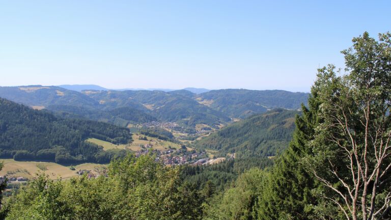 Dieses Bild zeigt eine Webcam-Aufnahme vom Achertal, aufgenommen am Mittwoch, den 12.08.2026 um 12:10 Uhr. Die Temperatur betrug 29.4°C.