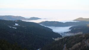 Dieses Bild zeigt eine Webcam-Aufnahme vom Achertal, aufgenommen am Donnerstag, den 22.01.2026 um 08:50 Uhr. Die Temperatur betrug 4.9°C.