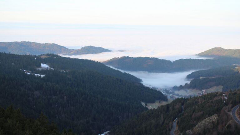 Dieses Bild zeigt eine Webcam-Aufnahme vom Achertal, aufgenommen am Donnerstag, den 22.01.2026 um 08:50 Uhr. Die Temperatur betrug 4.9°C.