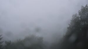 Dieses Bild zeigt eine Webcam-Aufnahme vom Achertal, aufgenommen am Freitag, den 12.06.2026 um 14:30 Uhr. Die Temperatur betrug 11.7°C.