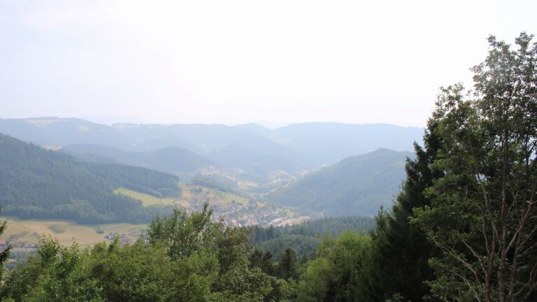 Dieses Bild zeigt eine Webcam-Aufnahme vom Achertal, aufgenommen am Freitag, den 31.07.2026 um 17:10 Uhr. Die Temperatur betrug 29.9°C.