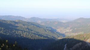 Dieses Bild zeigt eine Webcam-Aufnahme vom Achertal, aufgenommen am Donnerstag, den 05.03.2026 um 08:20 Uhr. Die Temperatur betrug 7.9°C.