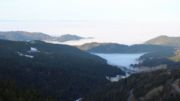 Dieses Bild zeigt eine Webcam-Aufnahme vom Achertal, aufgenommen am Mittwoch, den 21.01.2026 um 09:00 Uhr. Die Temperatur betrug 7.3°C.