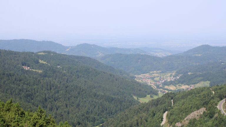 Dieses Bild zeigt eine Webcam-Aufnahme vom Achertal, aufgenommen am Samstag, den 14.06.2025 um 10:50 Uhr. Die Temperatur betrug 25°C.
