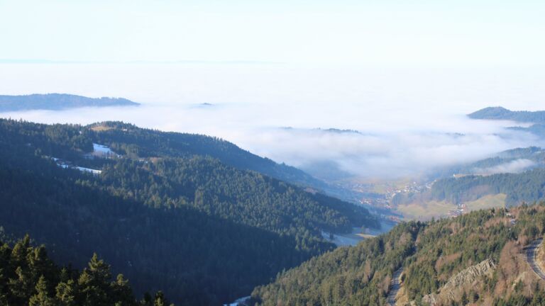 Dieses Bild zeigt eine Webcam-Aufnahme vom Achertal, aufgenommen am Montag, den 19.01.2026 um 11:30 Uhr. Die Temperatur betrug 9°C.