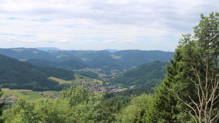 Dieses Bild zeigt eine Webcam-Aufnahme vom Achertal, aufgenommen am Mittwoch, den 08.07.2026 um 12:30 Uhr. Die Temperatur betrug 24.7°C.