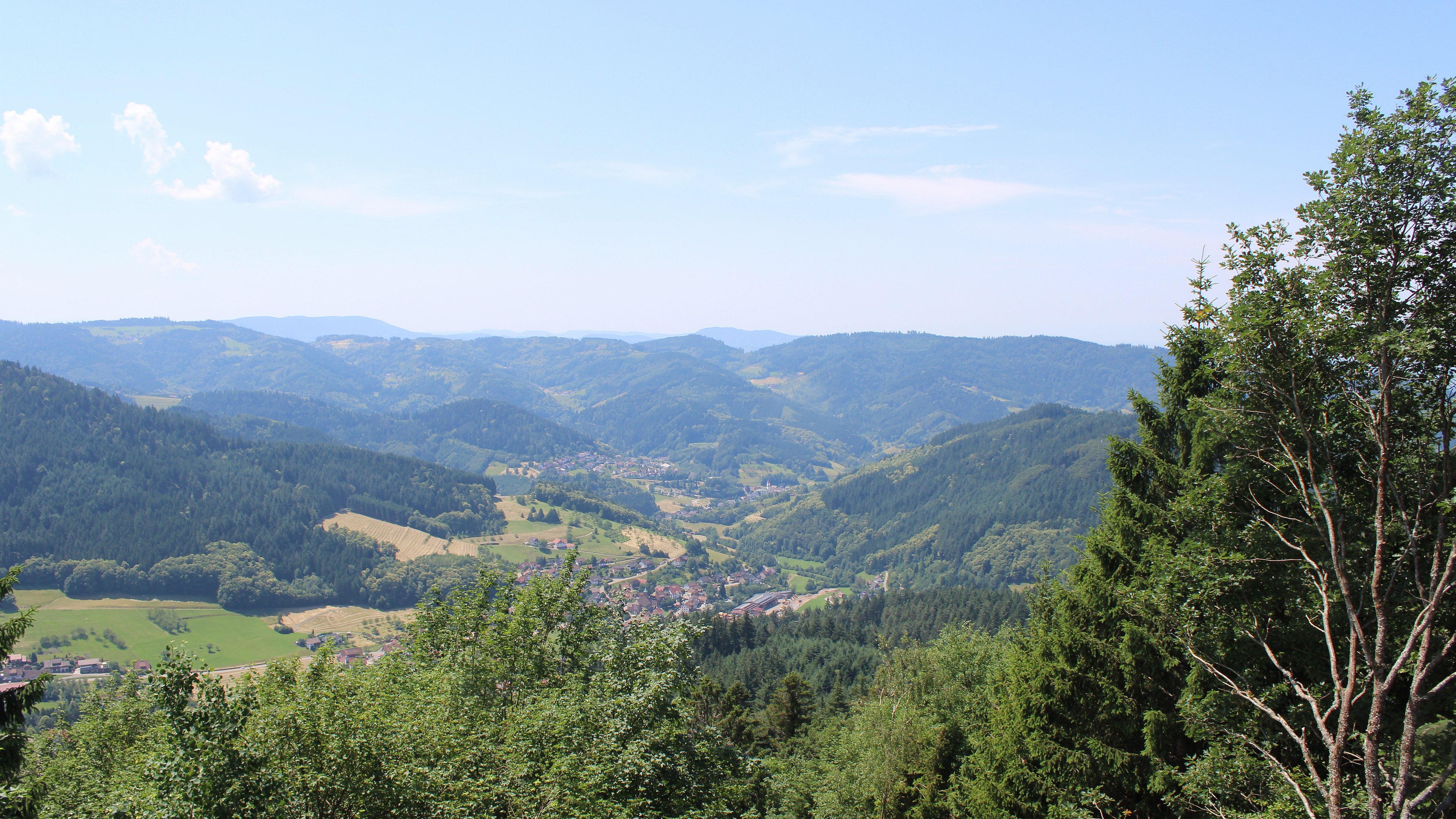 Zum Fotoarchiv vom Sonntag, 21. Juni 2026