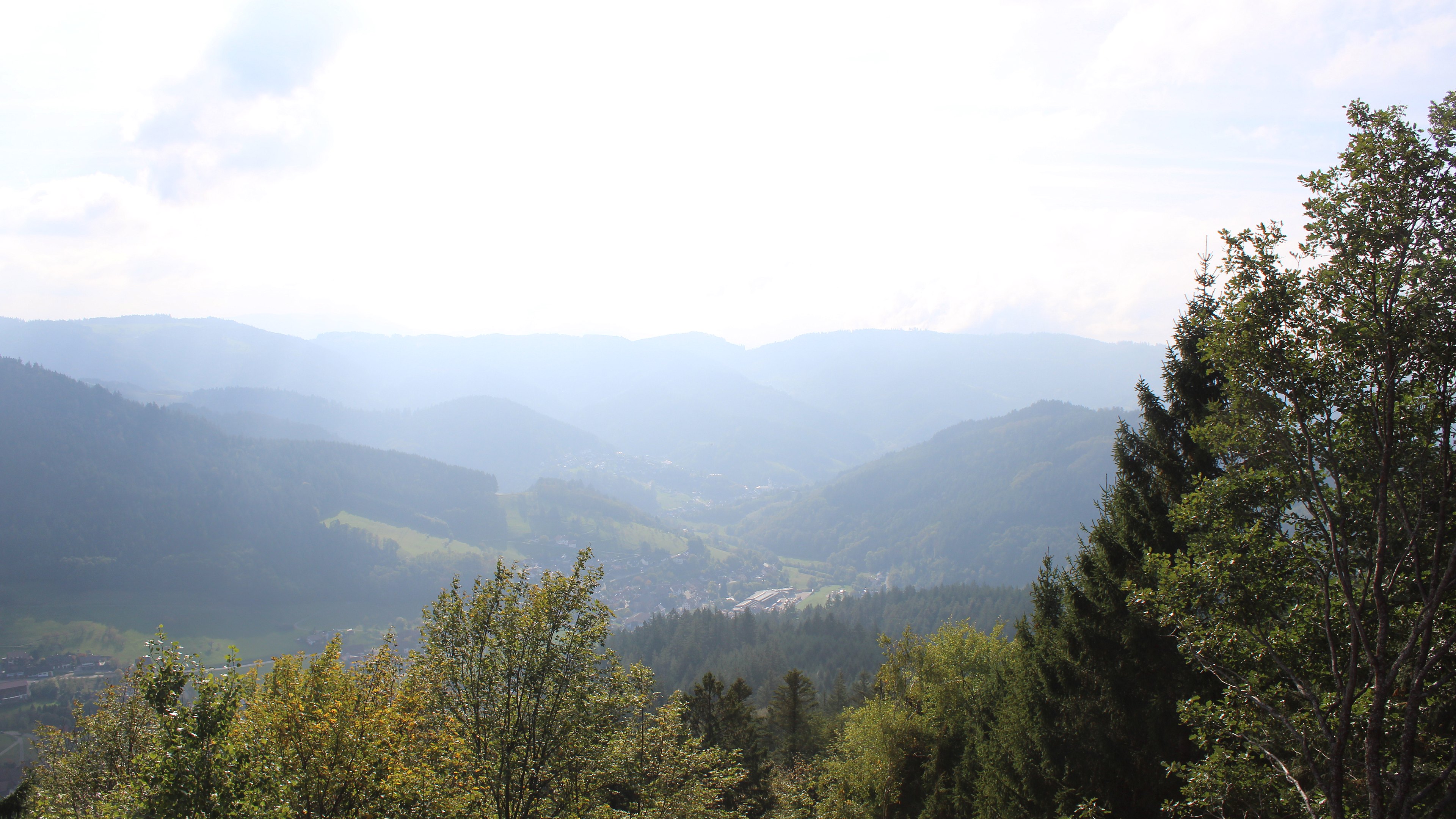Zum Fotoarchiv vom Montag, 19. Oktober 2026