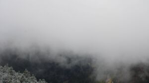 Dieses Bild zeigt eine Webcam-Aufnahme vom Achertal, aufgenommen am Montag, den 17.11.2025 um 11:50 Uhr. Die Temperatur betrug -1.2°C.