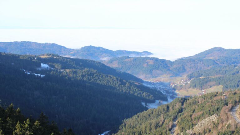 Dieses Bild zeigt eine Webcam-Aufnahme vom Achertal, aufgenommen am Mittwoch, den 21.01.2026 um 10:40 Uhr. Die Temperatur betrug 10°C.