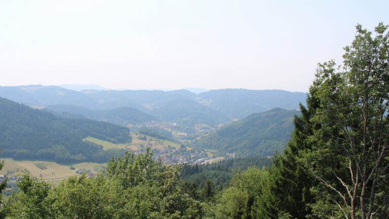Dieses Bild zeigt eine Webcam-Aufnahme vom Achertal, aufgenommen am Donnerstag, den 30.07.2026 um 13:50 Uhr. Die Temperatur betrug 35.5°C.